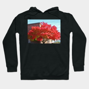 Red Maple Tree Hoodie